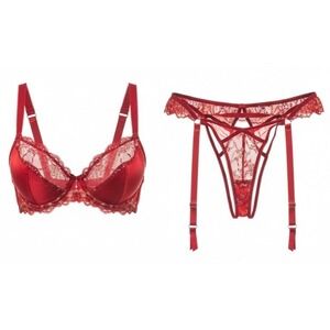 Seven 'til Midnight Lingerie 2 Piece Set Sz 1X Thong w/ Garter Belt Bra Red Lace